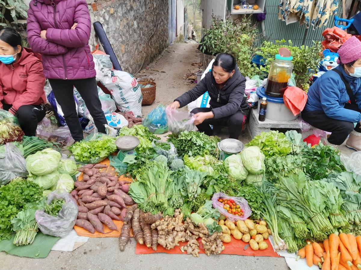 Khach San Vuon Quoc Gia Ba Be Otel Bac Kan Dış mekan fotoğraf