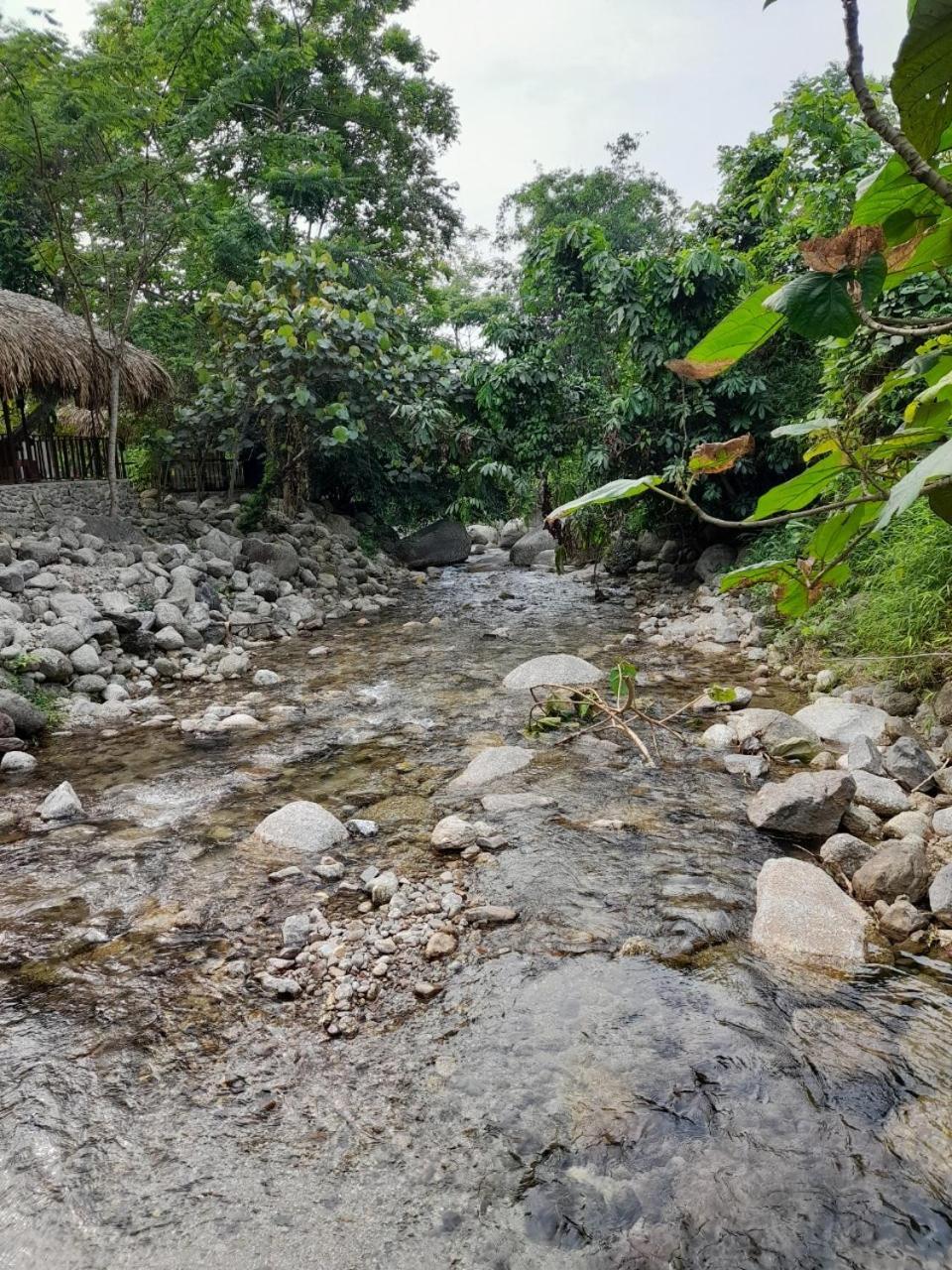Khach San Vuon Quoc Gia Ba Be Otel Bac Kan Dış mekan fotoğraf