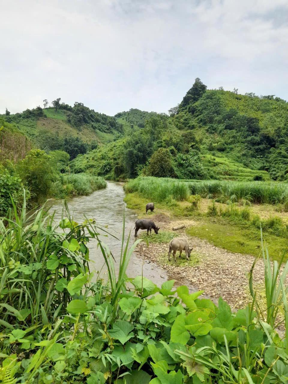 Khach San Vuon Quoc Gia Ba Be Otel Bac Kan Dış mekan fotoğraf